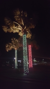 Christmas palm trees